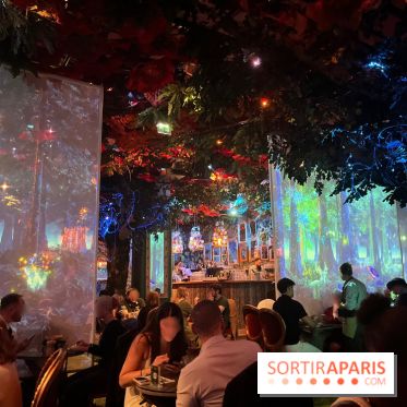 Wonderwoods - IMG 3814