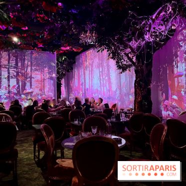 Wonderwoods