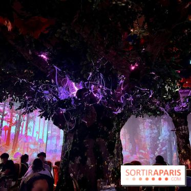 Wonderwoods