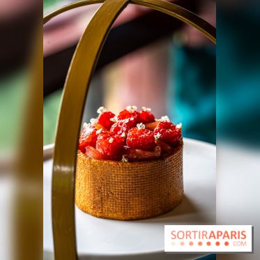 Le tea time goûter de Baptiste Vial aux Étangs de Corot à Ville-d'Avray - A7C05387