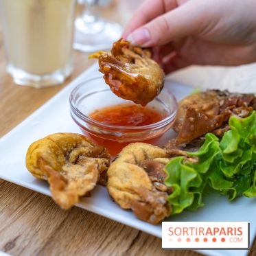 Dong Tam restaurant vietnamien Paris 13e - A7C04419