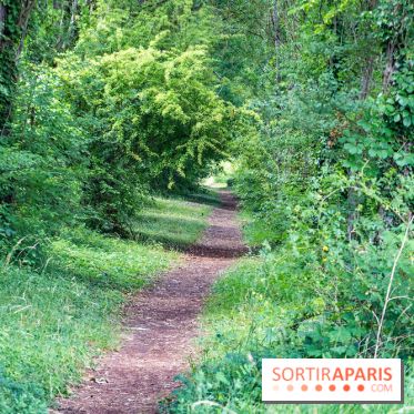 Le port de Valvins-les-Bains, les photos