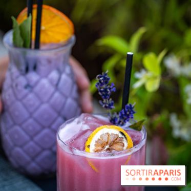 Le Domaine des Vanneaux MGallery - les photos - A7C04492