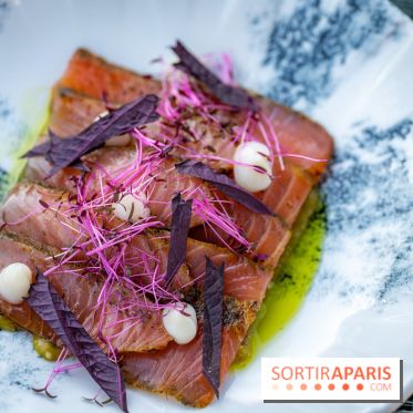 Le Domaine des Vanneaux MGallery - les photos - A7C04495