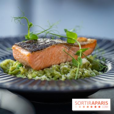 Le Domaine des Vanneaux MGallery - les photos - A7C04510