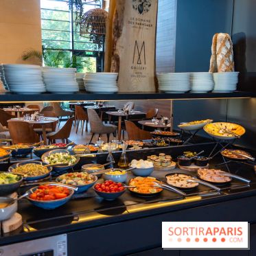 Le Domaine des Vanneaux MGallery - les photos - A7C04559