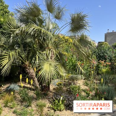 Parc de la Planchette - nos photos - D3507EBA 8E2F 4894 99AB 1E984D7909B4