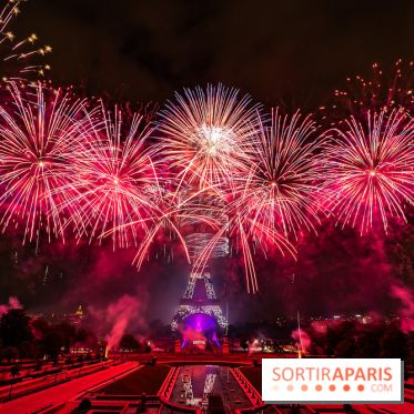 Le feu d’artifice du 14 juillet 2025 de Paris - les photos