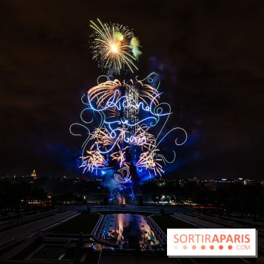 Le feu d’artifice du 14 juillet 2025 de Paris - les photos