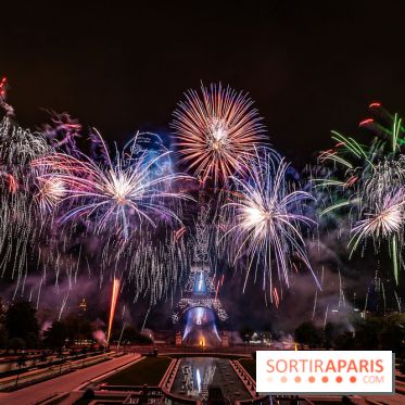 Le feu d’artifice du 14 juillet 2025 de Paris - les photos