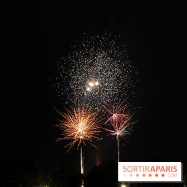 Visuels feux d'artifice  - A7C06025
