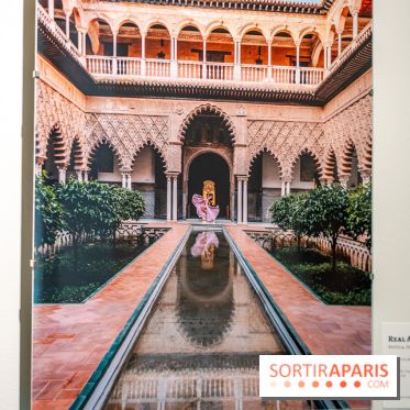 Exposition Dancing the Earth au Couvent de l'Annonciation Paris 8e - A7C06556