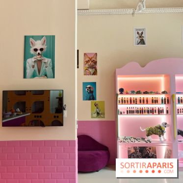 Patapwouf, le spot cani-friendly de Saint-Ouen - nos photos - 5B0C3066 1B00 4ACE 8DC8 0CB498548433