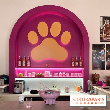 Patapwouf, le spot cani-friendly de Saint-Ouen - nos photos - 70F4A332 8ACC 468E 8D44 36AE509A2039