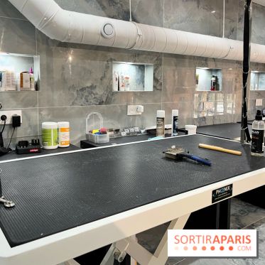 Patapwouf, le spot cani-friendly de Saint-Ouen - nos photos - 393556D9 EA36 4DFD 8540 3C17E3D5F509