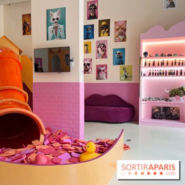 Patapwouf, le spot cani-friendly de Saint-Ouen - nos photos - A20E0070 2D50 49D7 8DC4 7B247EC53339