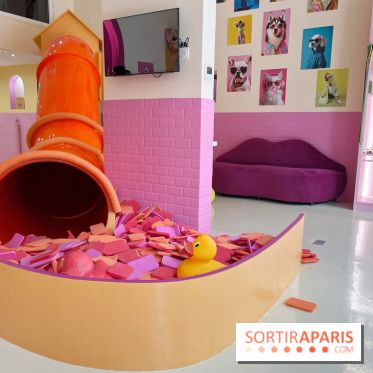 Patapwouf, le spot cani-friendly de Saint-Ouen - nos photos - B14E41A3 2095 4CF7 96DA 6013731033F2