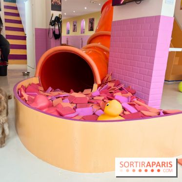 Patapwouf, le spot cani-friendly de Saint-Ouen - nos photos - B0605D0C 0E5A 47FE A9CE C6F0526C3A2F