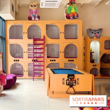 Patapwouf, le spot cani-friendly de Saint-Ouen - nos photos - E7F868A7 A82B 4EE0 8E78 092C9C69CFA4