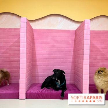 Patapwouf, le spot cani-friendly de Saint-Ouen - nos photos - EFD876A8 E455 49B4 A85E 02B255FF5AC9