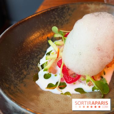 Machizo - Saumon, burrata, pomme, verveine