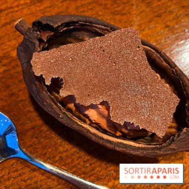 Machizo - Mousse chocolat, glace estragon