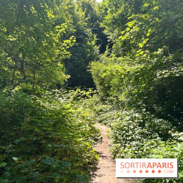 Paris-Rambouillet à pied - nos photos - 93669666 586D 4C43 B749 B8A3DD96A086