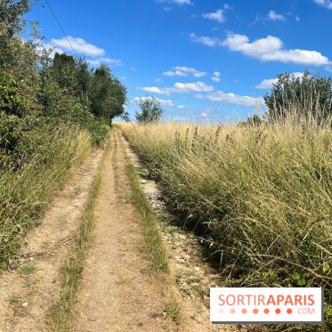 Paris-Rambouillet à pied - nos photos - DF4FD716 169E 424A 938E 9B3E81624D76