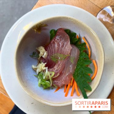 Shuzo - Sashimi thon blanc