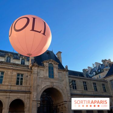 Joli, Musée Carnavalet - Terrasse jardin musée