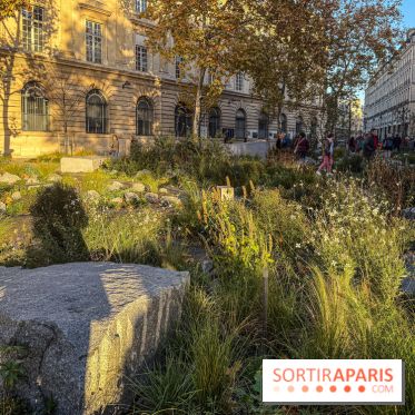 Jardin mémoriel du 13 novembre 2015 - Jardin du Souvenir - nos photos - IMG 1809