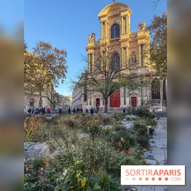 Jardin mémoriel du 13 novembre 2015 - Jardin du Souvenir - nos photos - IMG 1813