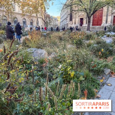 Jardin mémoriel du 13 novembre 2015 - Jardin du Souvenir - nos photos - IMG 1814