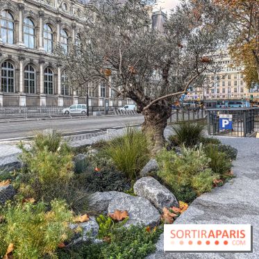 Jardin mémoriel du 13 novembre 2015 - Jardin du Souvenir - nos photos - IMG 1835