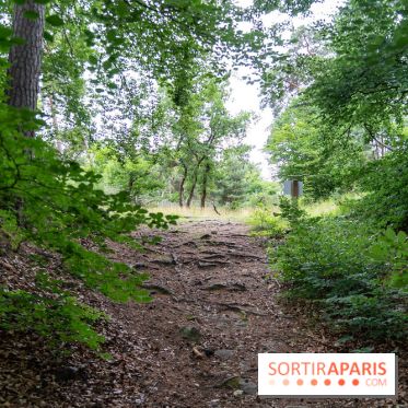L'Hippodrome de la Solle à Fontainebleau - photos - A7C02777