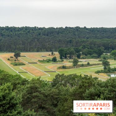 L'Hippodrome de la Solle à Fontainebleau - photos - A7C02781
