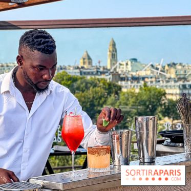 Bar Les Ombres : cocktails & tapas sur le rooftop du Musée du Quai Branly avec vue sur la tour Eiffel - IMG 4108 jpg