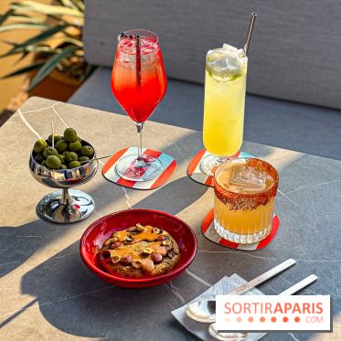 Bar Les Ombres : cocktails & tapas sur le rooftop du Musée du Quai Branly avec vue sur la tour Eiffel - IMG 8070