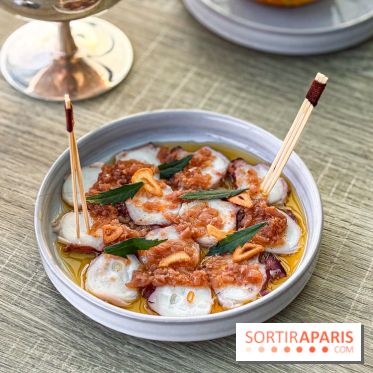 Bar Les Ombres : cocktails & tapas sur le rooftop du Musée du Quai Branly avec vue sur la tour Eiffel - IMG 8117