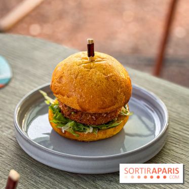 Bar Les Ombres : cocktails & tapas sur le rooftop du Musée du Quai Branly avec vue sur la tour Eiffel - IMG 8121