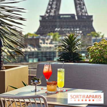 Bar Les Ombres : cocktails & tapas sur le rooftop du Musée du Quai Branly avec vue sur la tour Eiffel - IMG 8041 2