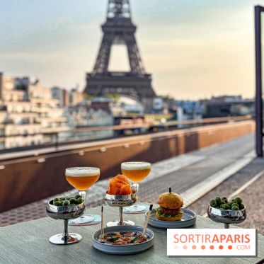 Bar Les Ombres : cocktails & tapas sur le rooftop du Musée du Quai Branly avec vue sur la tour Eiffel - IMG 8112 2