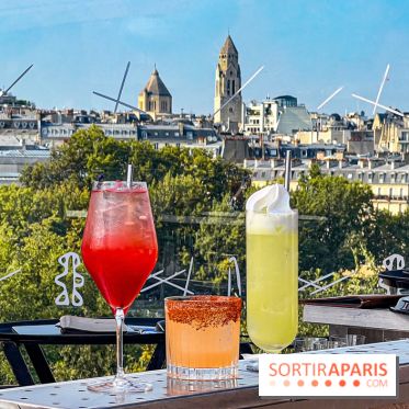 Bar Les Ombres : cocktails & tapas sur le rooftop du Musée du Quai Branly avec vue sur la tour Eiffel - IMG 4138 jpg