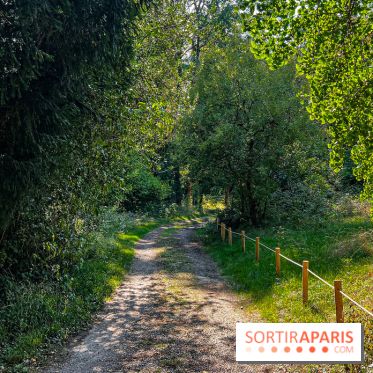 Parc de la Roseraie Châtenay - IMG 4428 jpg