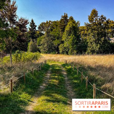 Parc de la Roseraie Châtenay - IMG 4435 jpg