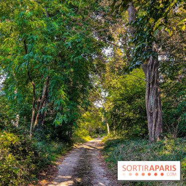 Parc de la Roseraie Châtenay - IMG 4451 jpg