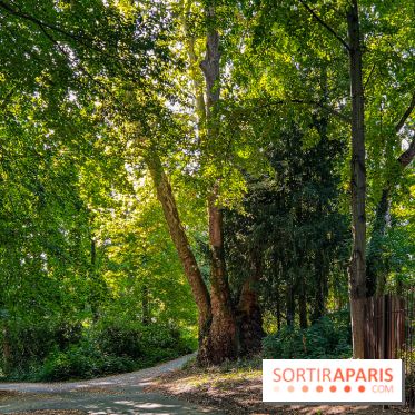 Parc de la Roseraie Châtenay