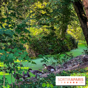 Parc de la Roseraie à Chatenay Malabry (92) : 8 hectares de verdure classés Monument Historique