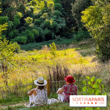 Parc de la Roseraie à Chatenay Malabry (92) : 8 hectares de verdure classés Monument Historique