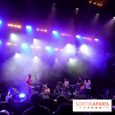 Rock en Seine 2025 - The Psychotic Monks